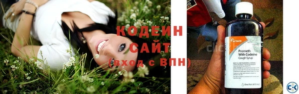 крисы Вязьма