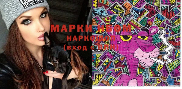 крисы Вязьма