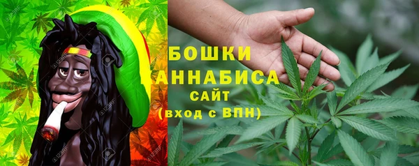 крисы Вязьма